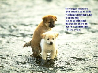 Si recoges un perro hambriento de la calle y lo haces próspero, no te morderá;  esa es la principal diferencia entre un perro y un hombre. - Mark Twain 