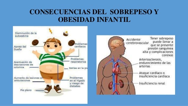 como puedo bajar de peso efectivamente como puedo bajar de peso efectivamente