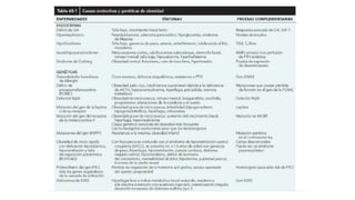 Sobrepeso y obesidad , NUTRICIÓN Y ESTILOS DE VIDA | PDF