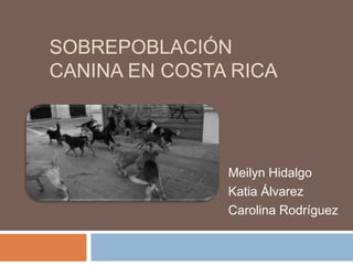 SOBREPOBLACIÓN
CANINA EN COSTA RICA
Meilyn Hidalgo
Katia Álvarez
Carolina Rodríguez
 