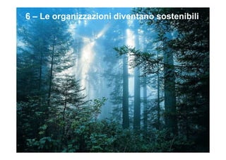 6 – Le organizzazioni diventano sostenibili
 