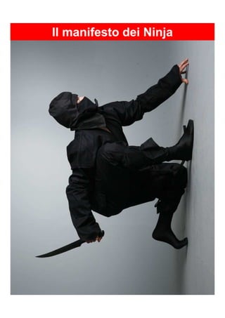 ciao
Il manifesto dei Ninja
 
