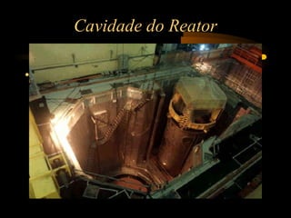 Cavidade do Reator 
• 
 
