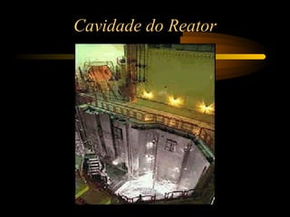 Cavidade do Reator 
 