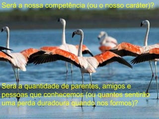 Será a nossa competência (ou o nosso caráter)?
Será a quantidade de parentes, amigos e
pessoas que conhecemos (ou quantos sentirão
uma perda duradoura quando nos formos)?
 
