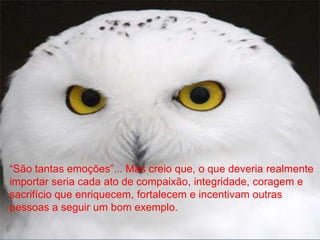“São tantas emoções”... Mas creio que, o que deveria realmente
importar seria cada ato de compaixão, integridade, coragem e
sacrifício que enriquecem, fortalecem e incentivam outras
pessoas a seguir um bom exemplo.
 