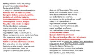 Minha palavra de honra me protege
pra viver no país das calças bege.
Tic, tac, ainda é 9h40.
O relógio da cadeia anda em câmera lenta.
Ratatatá, mais um metrô vai passar.
Com gente de bem, apressada, católica.
Lendo jornal, satisfeita, hipócrita.
Com raiva por dentro, a caminho do Centro.
Olhando pra cá, curiosos, é lógico.
Não, não é não, não é o zoológico
Minha vida não tem tanto valor
quanto seu celular, seu computador.
Hoje, tá difícil, não saiu o sol.
Hoje não tem visita, não tem futebol.
Alguns companheiros têm a mente mais fraca.
Não suportam o tédio, arruma quiaca.
Graças a Deus e à Virgem Maria.
Faltam só um ano, três meses e uns dias.
Tem uma cela lá em cima fechada.
Desde terça-feira ninguém abre pra nada.
Só o cheiro de morte e Pinho Sol.
Um preso se enforcou com o lençol.
Qual que foi? Quem sabe? Não conta.
Ia tirar mais uns seis de ponta a ponta (...)
Nada deixa um homem mais doente
que o abandono dos parentes.
Aí moleque, me diz: então, cê qué o quê?
A vaga tá lá esperando você.
Pega todos seus artigos importados.
Seu currículo no crime e limpa o rabo.
A vida bandida é sem futuro.
Sua cara fica branca desse lado do muro.
Já ouviu falar de Lucífer?
Que veio do Inferno com moral.
Um dia... no Carandiru, não... ele é só mais um.
Comendo rango azedo com pneumonia...
Aqui tem mano de Osasco, do Jardim D'Abril, Parelheiros,
Mogi, Jardim Brasil, Bela Vista, Jardim Angela,
Heliópolis, Itapevi, Paraisópolis.
Ladrão sangue bom tem moral na quebrada.
Mas pro Estado é só um número, mais nada.
Nove pavilhões, sete mil homens.
 
