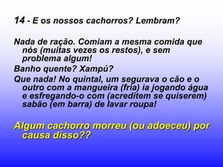 14 - E os nossos cachorros? Lembram?

Nada de ração. Comiam a mesma comida que
 nós (muitas vezes os restos), e sem
 problema algum!
Banho quente? Xampú?
Que nada! No quintal, um segurava o cão e o
 outro com a mangueira (fria) ia jogando água
 e esfregando-o com (acreditem se quiserem)
 sabão (em barra) de lavar roupa!

Algum cachorro morreu (ou adoeceu) por
 causa disso??
 