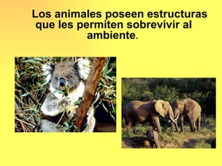 Los animales poseen estructuras
 que les permiten sobrevivir al
           ambiente.
 