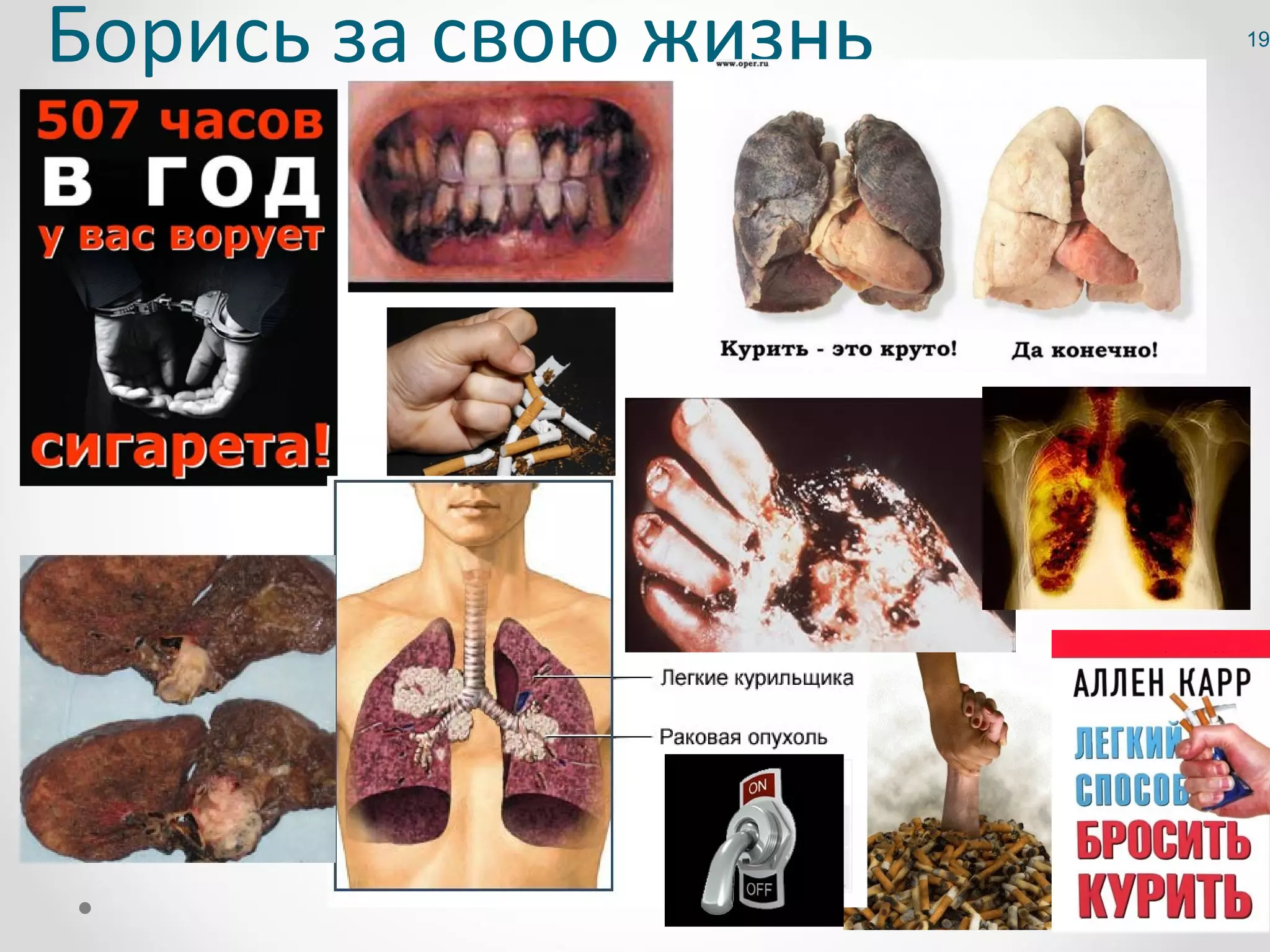 Борись за свою жизнь   19
 