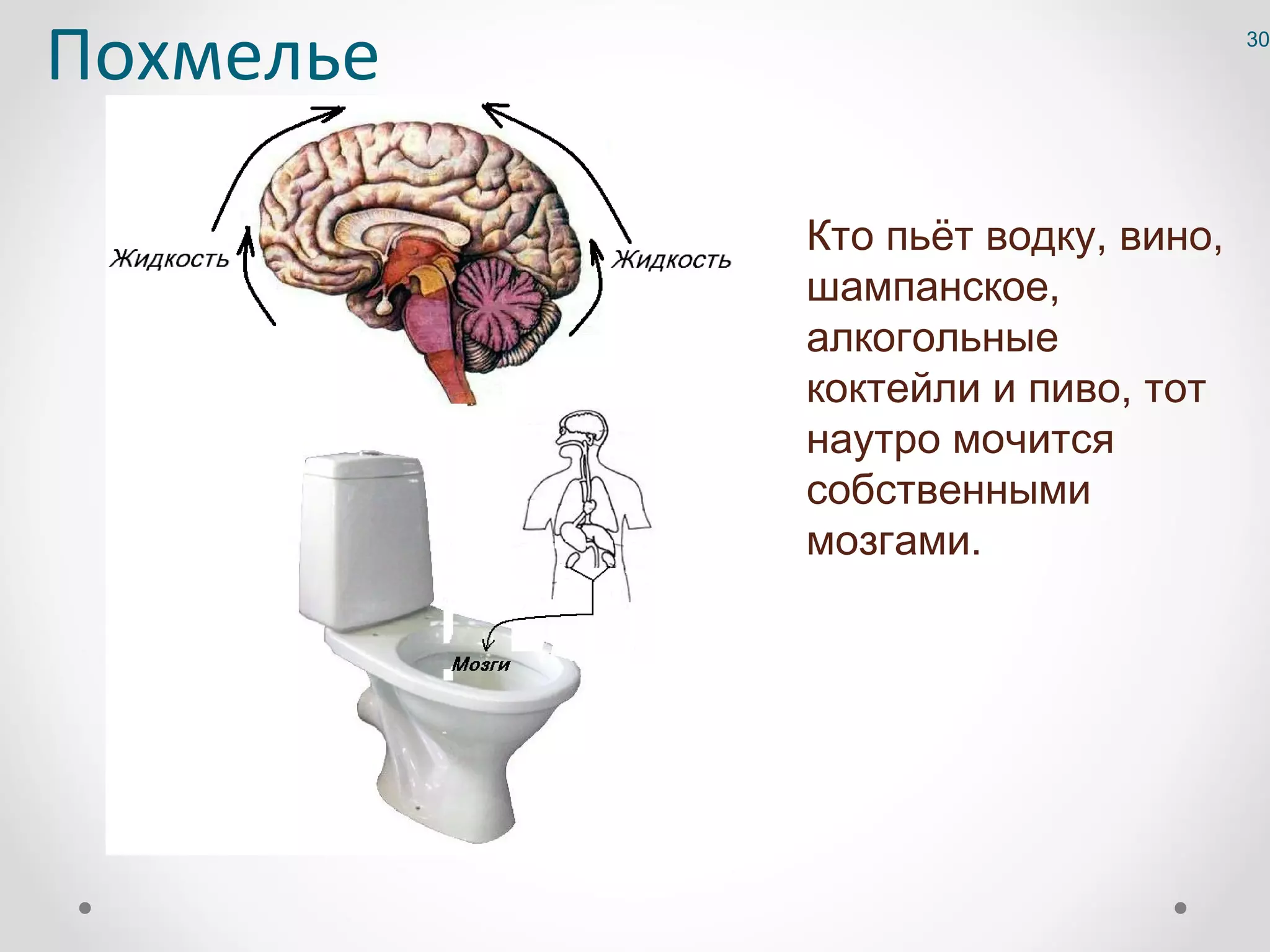 Похмелье                           30




           Кто пьёт водку, вино,
           шампанское,
           алкогольные
           коктейли и пиво, тот
           наутро мочится
           собственными
           мозгами.
 