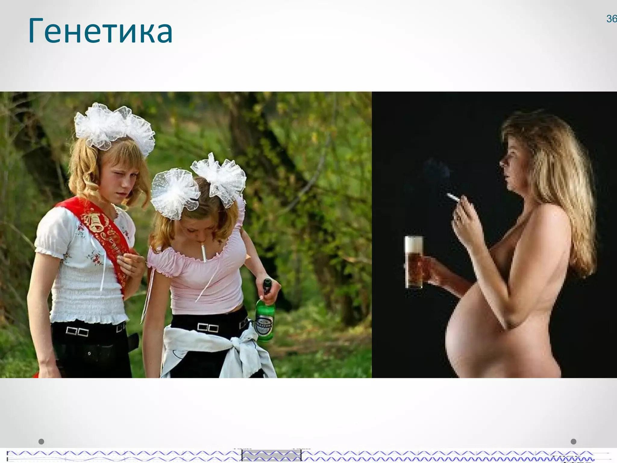 Генетика
           36
 