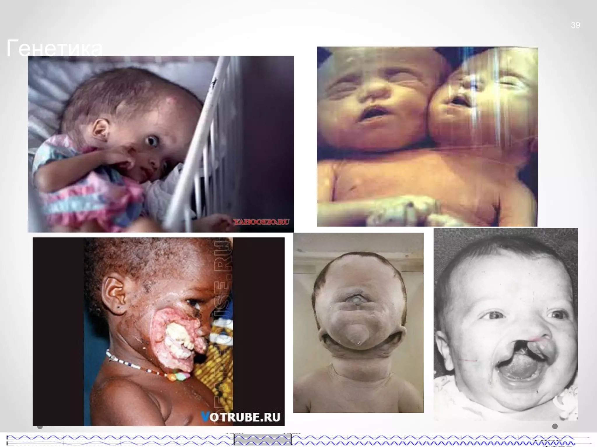 39


Генетика
 