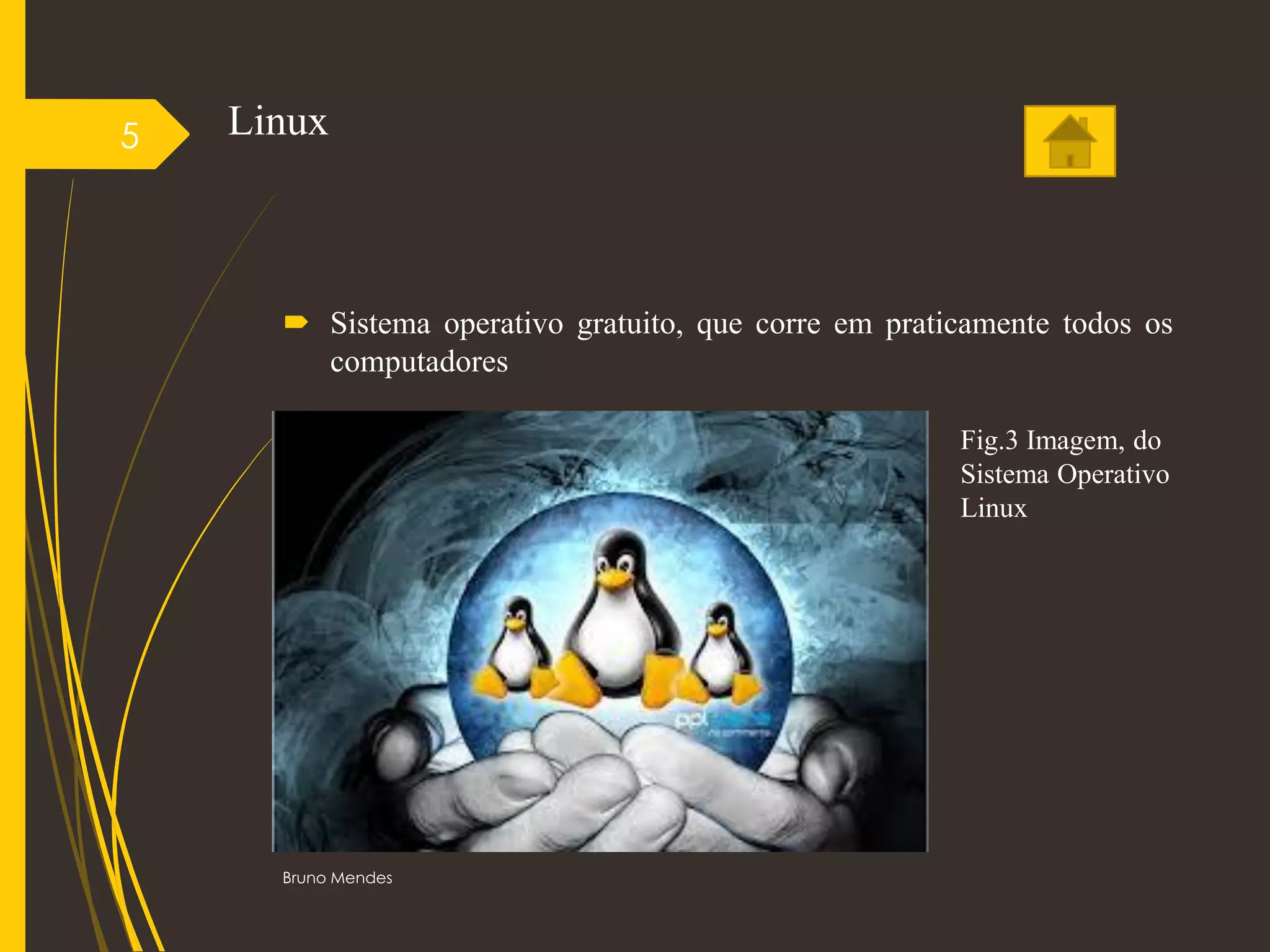 Linux
 Sistema operativo gratuito, que corre em praticamente todos os
computadores
Bruno Mendes
5
Fig.3 Imagem, do
Sistema Operativo
Linux
 
