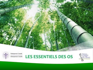 LES ESSENTIELS DES OS
 
