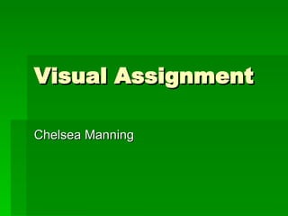 Visual Assignment Chelsea Manning 