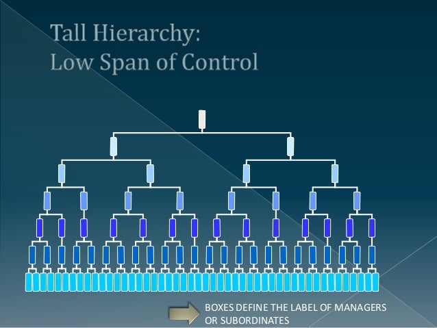 Span of Control (Management)