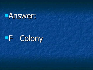 Answer: F  Colony 