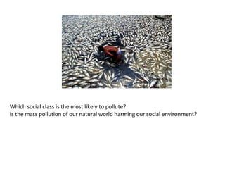 Which social class is the most likely to pollute? Is the mass pollution of our natural world harming our social environment?