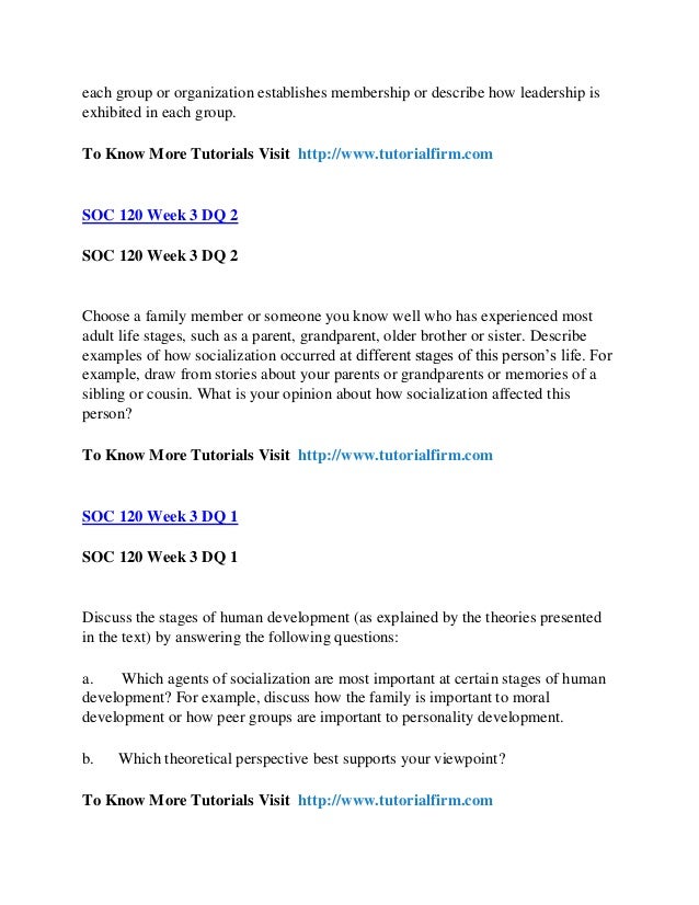 social organization examples