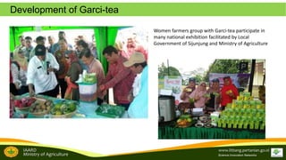 Brand development in women farmers group empowerment to support the tropical fruit tree community biodiversity management: A study from Garcinia sp conservation in Sijunjung, West Sumatra, Indonesia