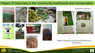 Brand development in women farmers group empowerment to support the tropical fruit tree community biodiversity management: A study from Garcinia sp conservation in Sijunjung, West Sumatra, Indonesia