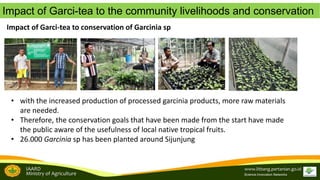 Brand development in women farmers group empowerment to support the tropical fruit tree community biodiversity management: A study from Garcinia sp conservation in Sijunjung, West Sumatra, Indonesia