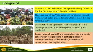 Brand development in women farmers group empowerment to support the tropical fruit tree community biodiversity management: A study from Garcinia sp conservation in Sijunjung, West Sumatra, Indonesia