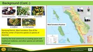 Brand development in women farmers group empowerment to support the tropical fruit tree community biodiversity management: A study from Garcinia sp conservation in Sijunjung, West Sumatra, Indonesia