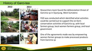 Brand development in women farmers group empowerment to support the tropical fruit tree community biodiversity management: A study from Garcinia sp conservation in Sijunjung, West Sumatra, Indonesia