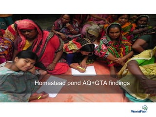 Merging the social with the technical: Using a gender transformative approach in smallholder aquaculture development in Bangladesh