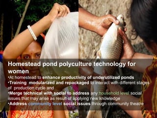 Merging the social with the technical: Using a gender transformative approach in smallholder aquaculture development in Bangladesh