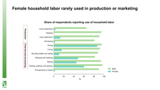 Labor scarcity and women's role in agricultural production: evidence from Bangladesh