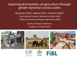 Exploring feminization of agriculture through
gender dynamics across scales
Alessandra Galiè1, Stephen Oloo1, Catherine Pfeifer2
1International Livestock Research Institute (ILRI)
2 Research Institute of Organic Agriculture (FiBL)
Seeds of Change Conference
Canberra, 2-4 April 2019
 