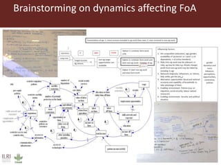 Exploring feminization of agriculture through gender dynamics across scales
