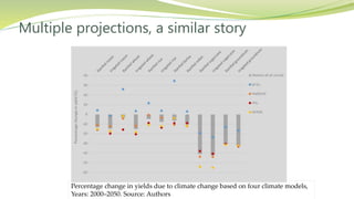 Women's empowerment as an effective way to increase resilience to climate change