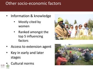 Women farmers' participation in the agricultural research process: implications for agricultural sustainability in Ethiopia