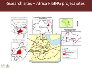 Women farmers' participation in the agricultural research process: implications for agricultural sustainability in Ethiopia