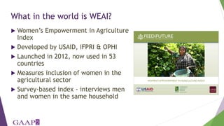 The monster-in-law effect: Linking qualitative observations to quantitative analysis on household structure, migration and empowerment in Nepal