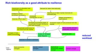 Unravelling the misfit: How gender equity interventions in Nepal's agrobiodiversity management fails to respond to rapidly changing rural livelihood context