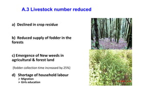 Unravelling the misfit: How gender equity interventions in Nepal's agrobiodiversity management fails to respond to rapidly changing rural livelihood context
