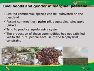 Gender issue in rural lowland management and development in Southern Sumatra