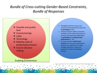 Designing options to narrow gender gaps in agricultural value chains using a resilience lens: Evidence from the Tahoua region of Niger