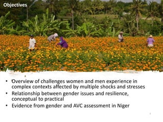 Designing options to narrow gender gaps in agricultural value chains using a resilience lens: Evidence from the Tahoua region of Niger