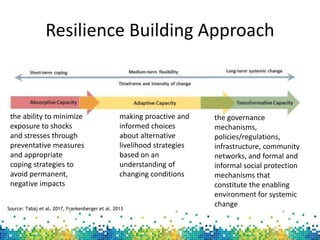 Designing options to narrow gender gaps in agricultural value chains using a resilience lens: Evidence from the Tahoua region of Niger