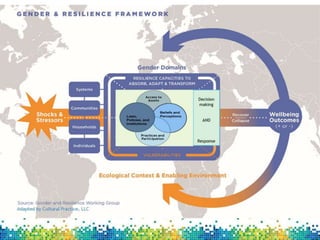 Designing options to narrow gender gaps in agricultural value chains using a resilience lens: Evidence from the Tahoua region of Niger