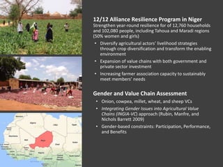 Designing options to narrow gender gaps in agricultural value chains using a resilience lens: Evidence from the Tahoua region of Niger