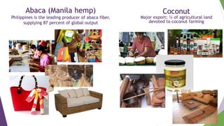 Empowerment in agricultural value chains: Mixed methods evidence from the Philippines