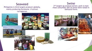 Empowerment in agricultural value chains: Mixed methods evidence from the Philippines