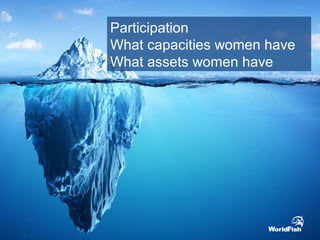 Participation
What capacities women have
What assets women have
 